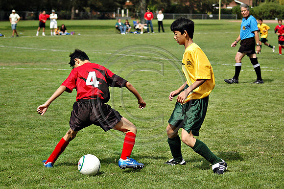 Soccer 159
