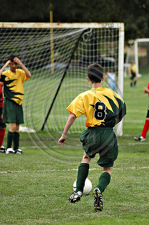 Soccer 119