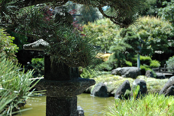 SM Japaneese tea Garden