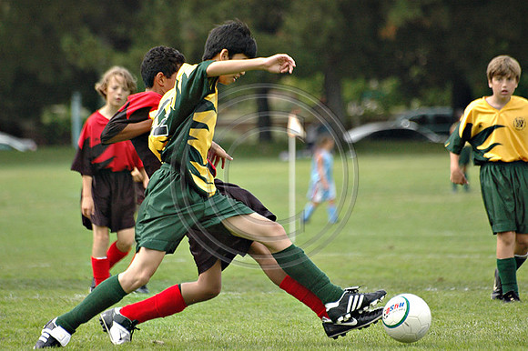 Soccer 124