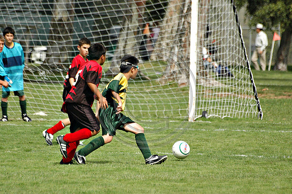 Soccer 175