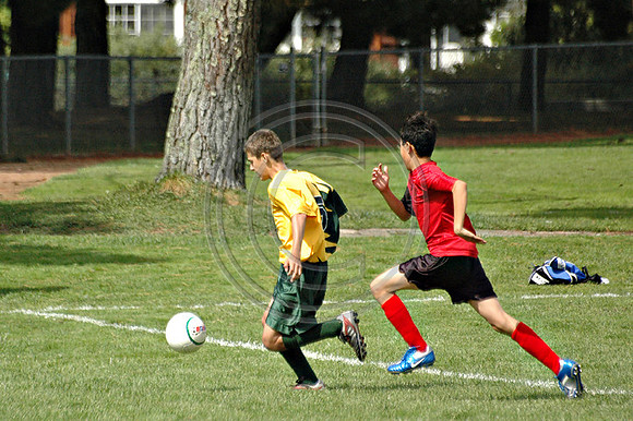 Soccer 196