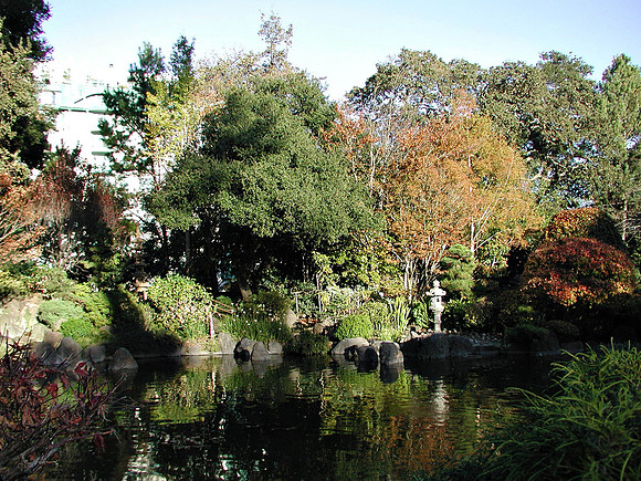 SM Japaneese tea Garden