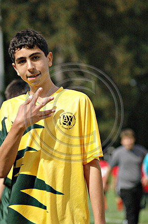Soccer 211