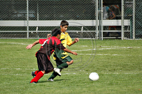 Soccer 174
