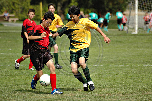 Soccer 179