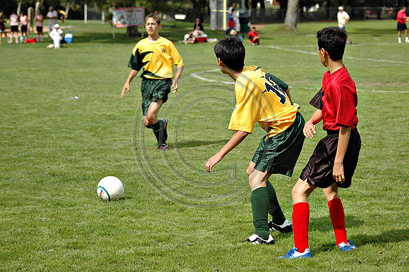 Soccer 160