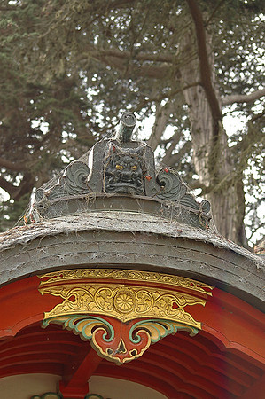 SF Japaneese Tea Garden