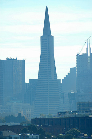 Streets and Sceens of San Franisco