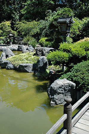 SM Japaneese tea Garden