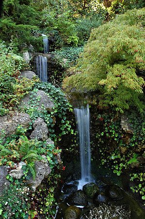 Hakone Japaneese Tea Garden