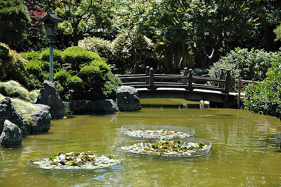 SM Japaneese tea Garden