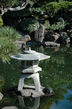 Hayward Japaneese Tea Garden