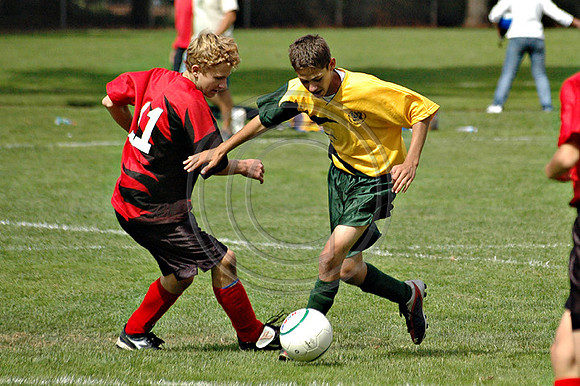 Soccer 184