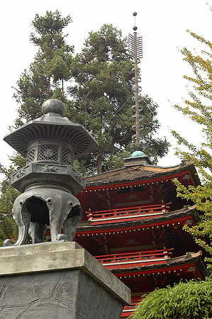 SF Japaneese Tea Garden
