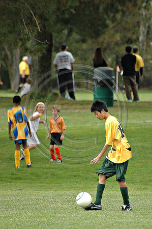 Soccer 114