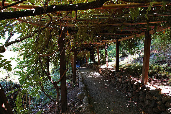 Hakone Japaneese Tea Garden