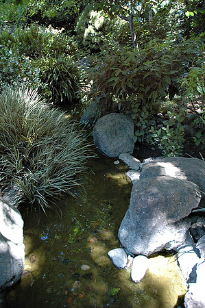 SM Japaneese tea Garden