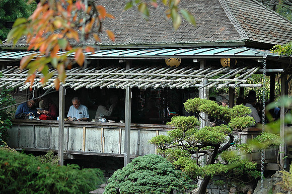 SF Japaneese Tea Garden