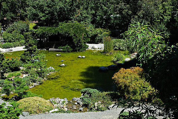 Hakone Japaneese Tea Garden