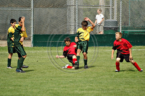 Soccer 195