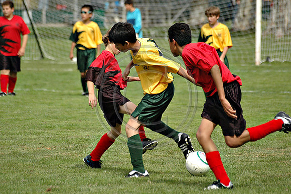 Soccer 148