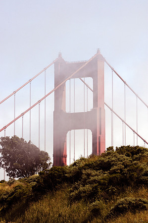 Streets and Sceens of San Franisco