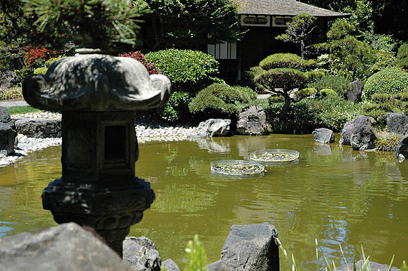 SM Japaneese tea Garden
