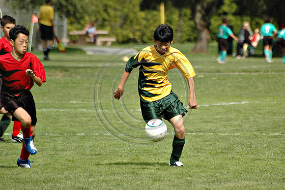 Soccer 178