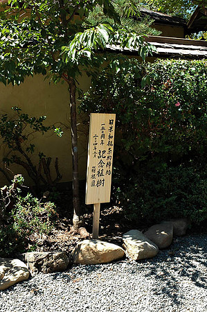 Hakone Japaneese Tea Garden