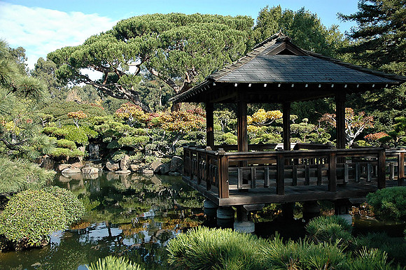 Hayward Japaneese Tea Garden