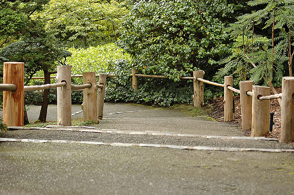 SF Japaneese Tea Garden