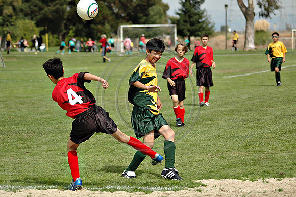 Soccer 155