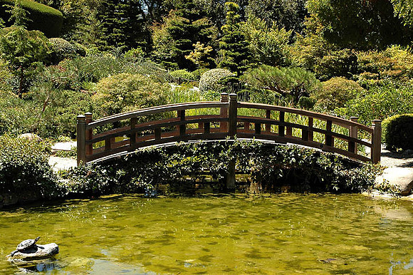 Hakone Japaneese Tea Garden