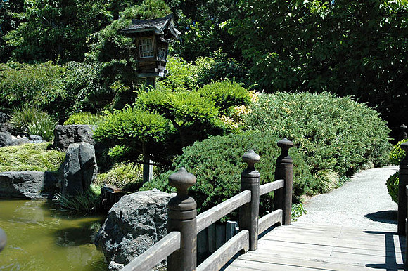SM Japaneese tea Garden
