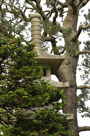 SF Japaneese Tea Garden