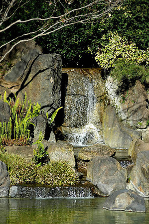 SM Japaneese tea Garden