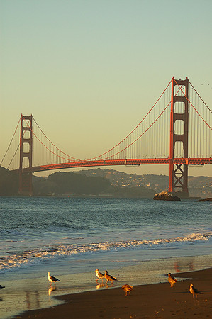 Streets and Sceens of San Franisco