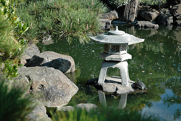 Hayward Japaneese Tea Garden