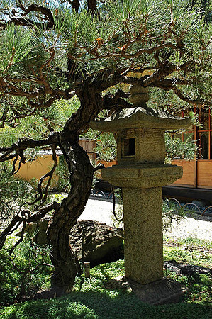 Hakone Japaneese Tea Garden