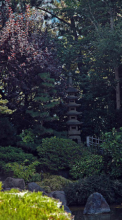 SM Japaneese tea Garden