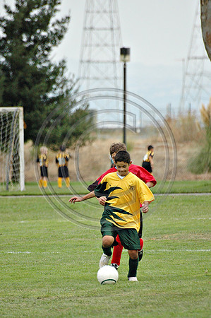 Soccer 007
