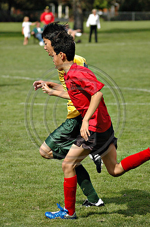 Soccer 203