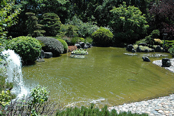 SM Japaneese tea Garden