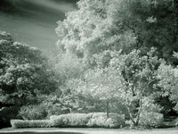 Infrared