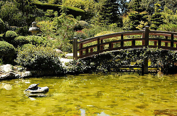 Hakone Japaneese Tea Garden