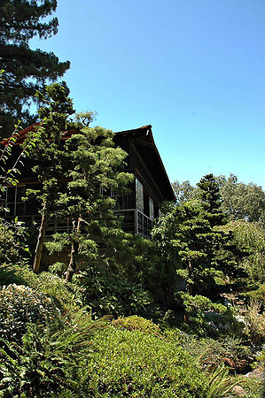 Hakone Japaneese Tea Garden