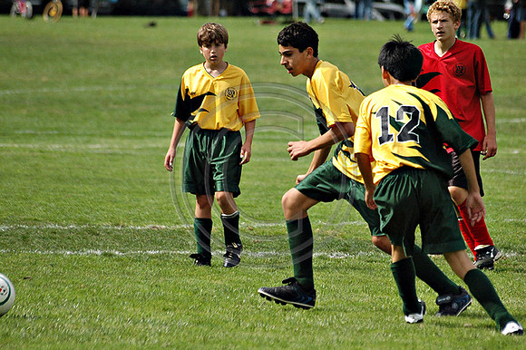 Soccer 204