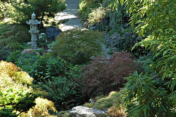 Hakone Japaneese Tea Garden