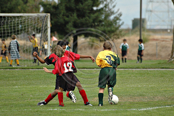 Soccer 054